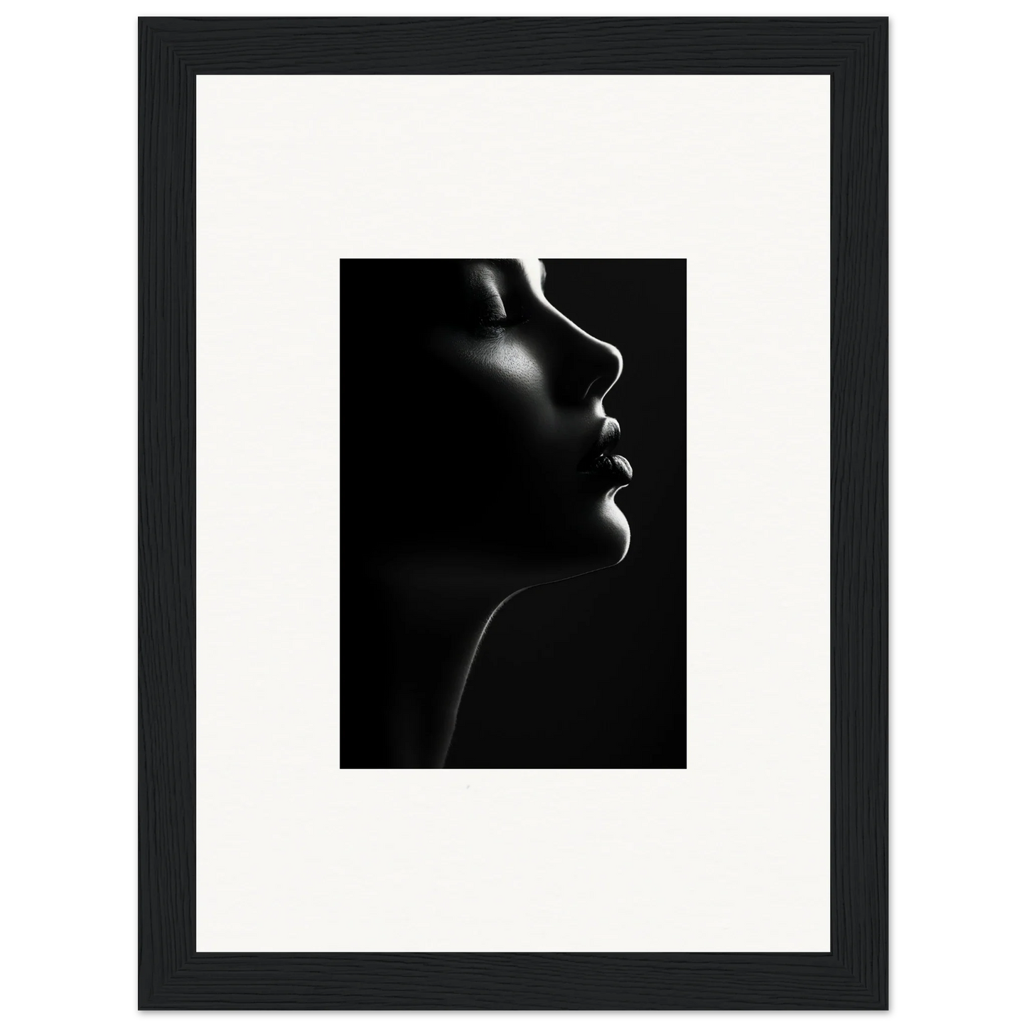 Dramatic black and white silhouette’s siren art with bold facial contours in premium frame