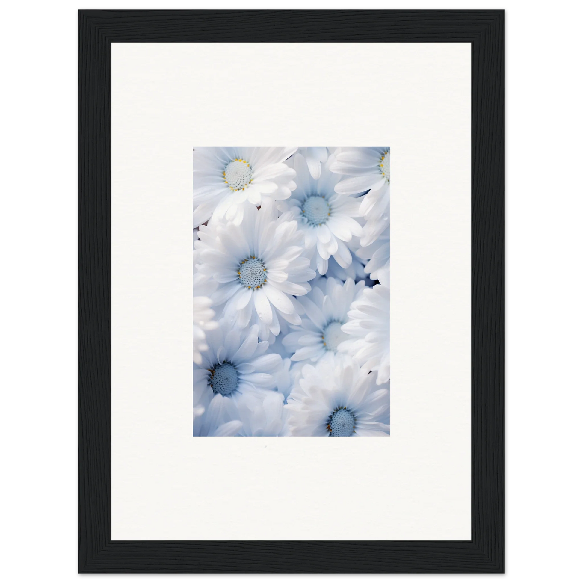 1c329326-455b-4d4d-bced-bc0299350cf8