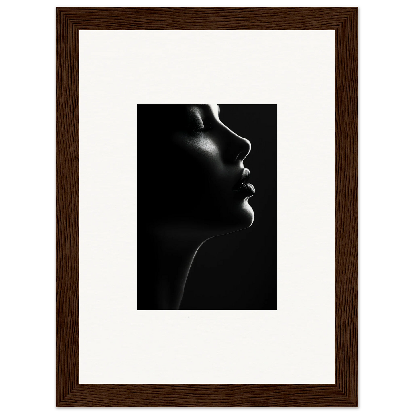 Dramatic black and white silhouette’s siren with striking rim lighting for premium framed wall