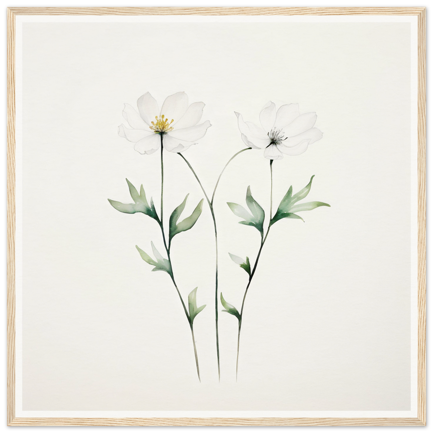 Delicate watercolor painting of two white flowers with green stems and leaves.