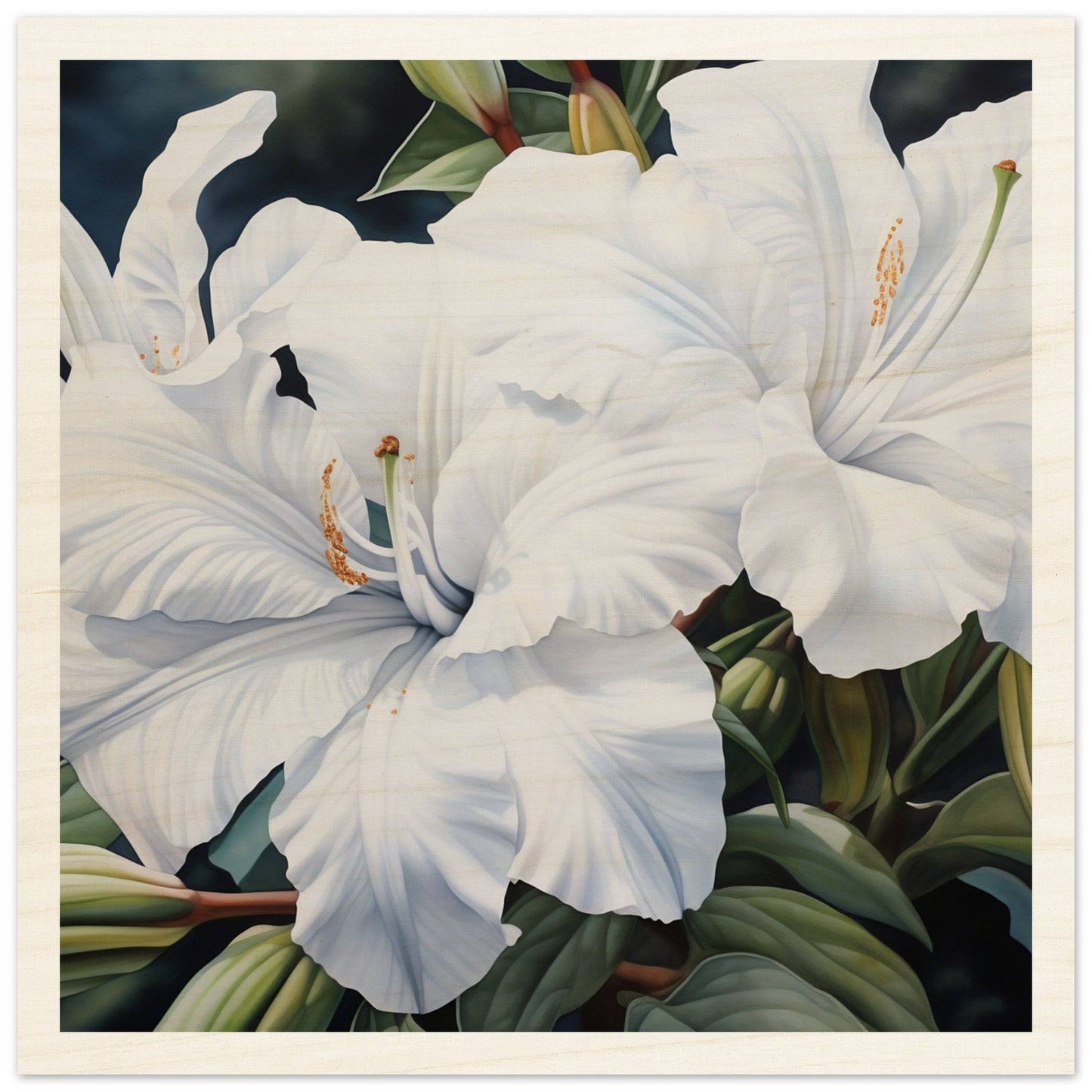 White lily flowers in full bloom with prominent stamens and pistils.