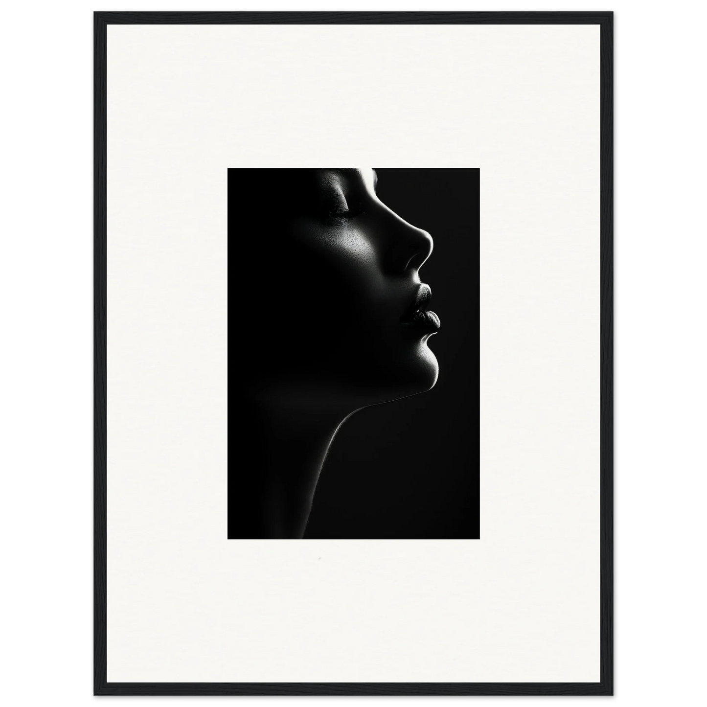 Dramatic black and white silhouette’s siren art with striking facial contours in premium frame
