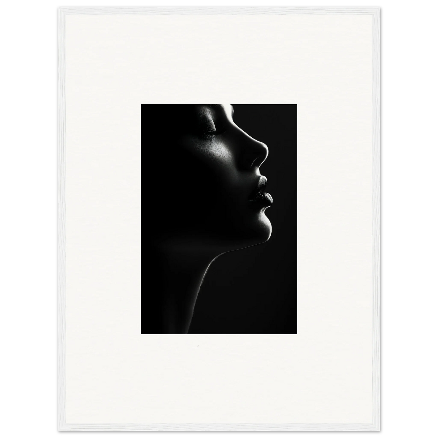 Dramatic black and white silhouette’s siren in premium framed wall art