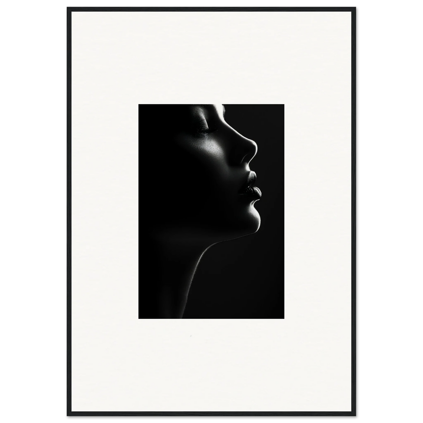 Dramatic black and white profile silhouette in Silhouette’s Siren Special Edition Art™