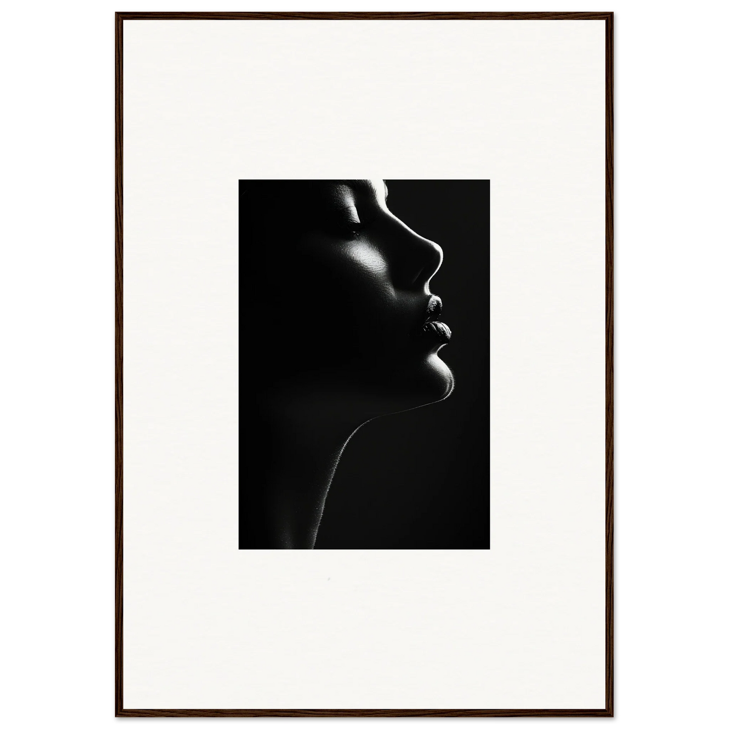 Dramatic black and white silhouette capturing the essence of Yin Space Reverie