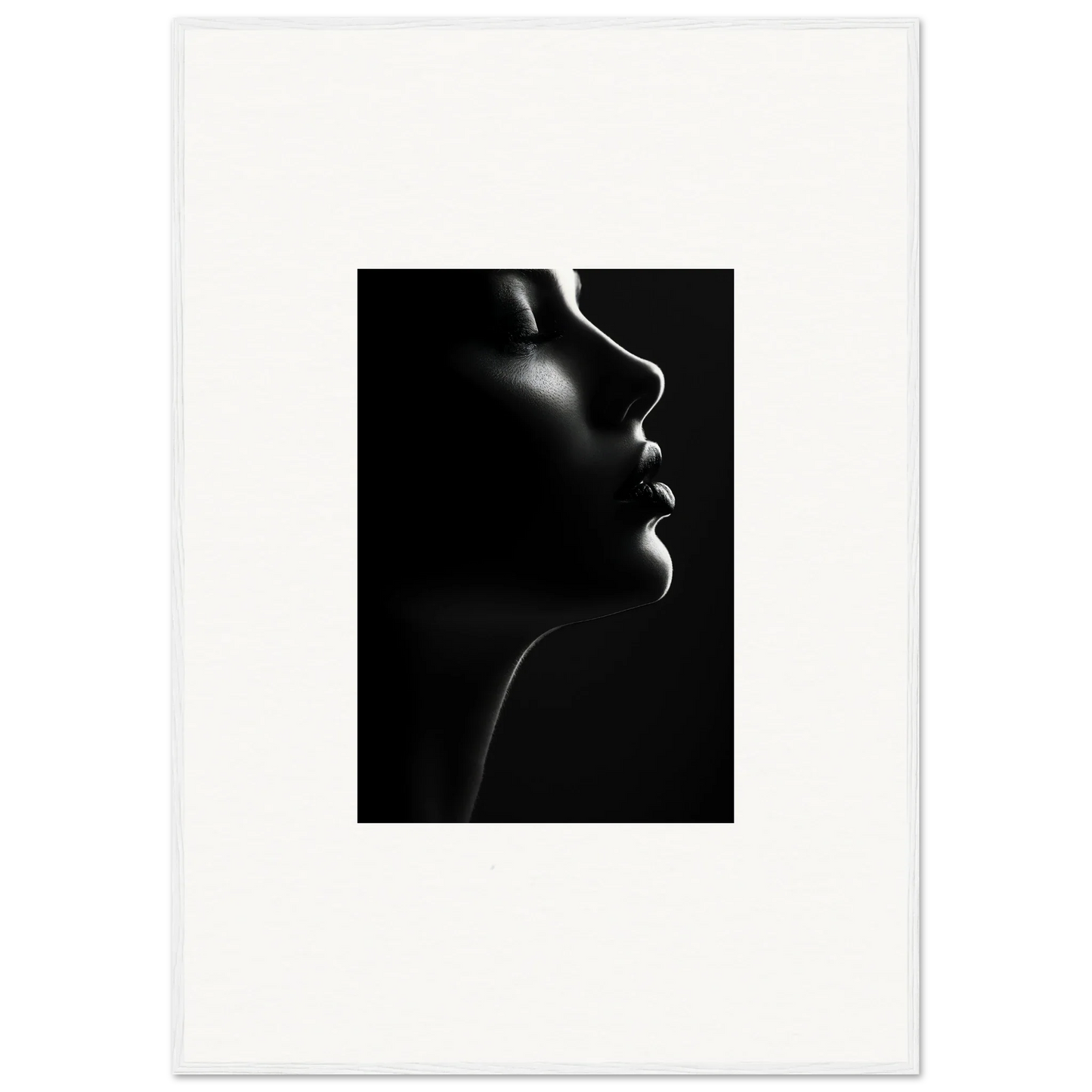 Dramatic black and white profile silhouette from Silhouette’s Siren special edition art™