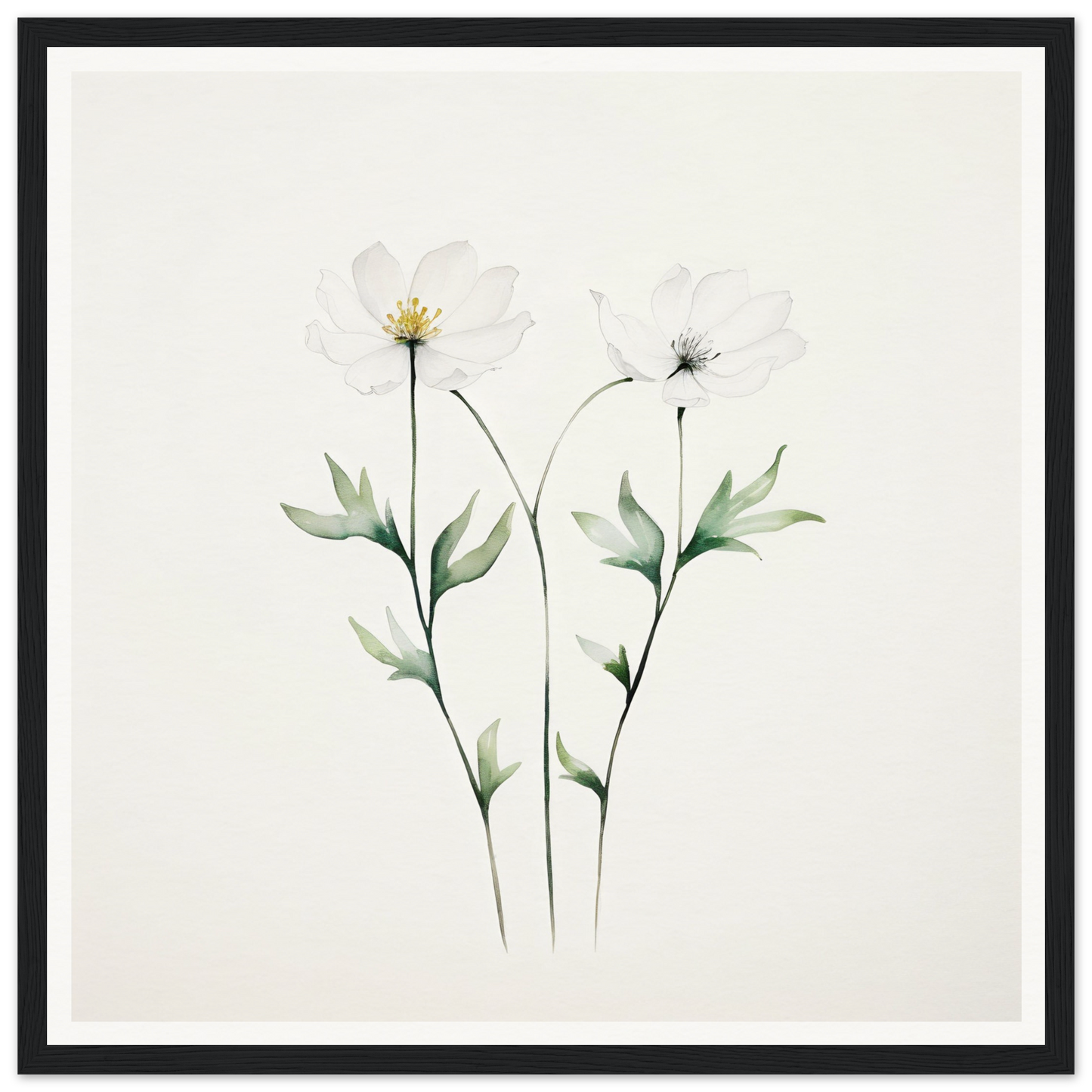 Delicate watercolor painting of two white flowers with slender stems and green leaves.
