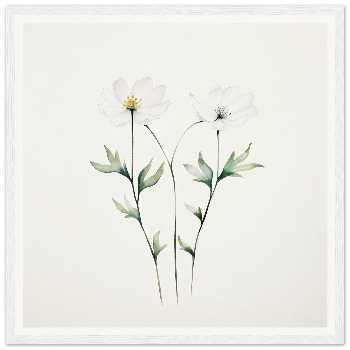 Delicate watercolor painting of two white flowers with slender stems and green leaves.