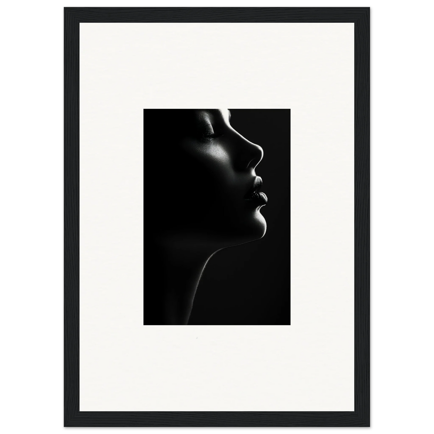 Dramatic black and white profile silhouette in Silhouette’s Siren special edition art™