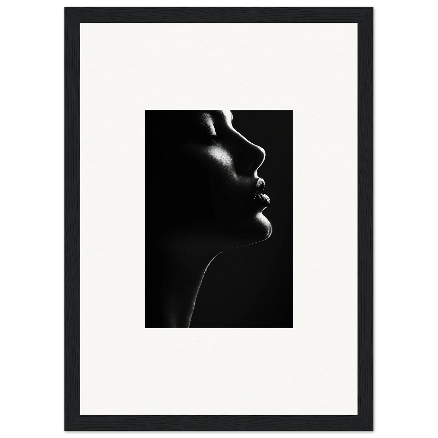 Dramatic black and white silhouette of Yin Space Reverie with striking highlights