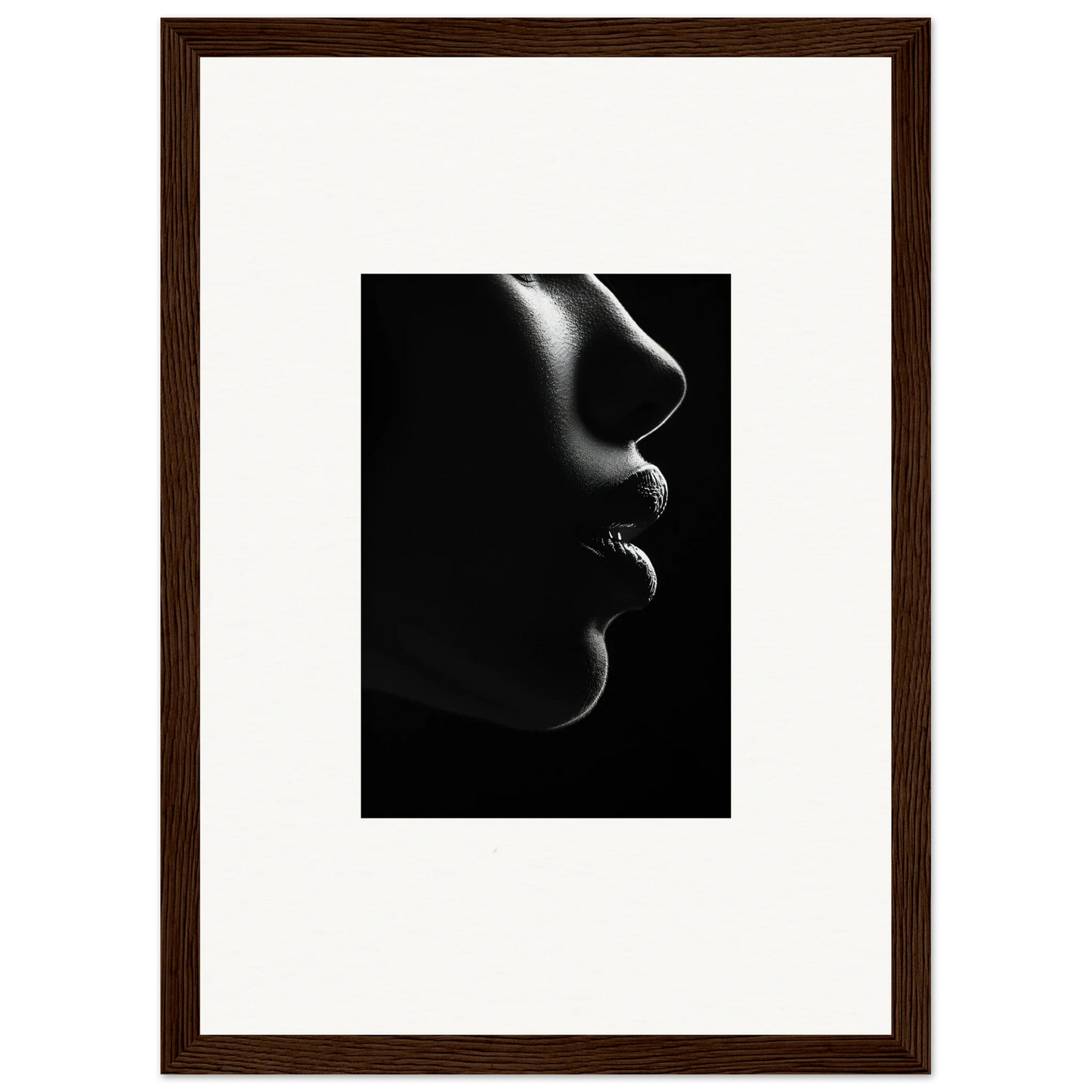 Side profile silhouette of lips and nose in dramatic light for Silver Twilight Whispers