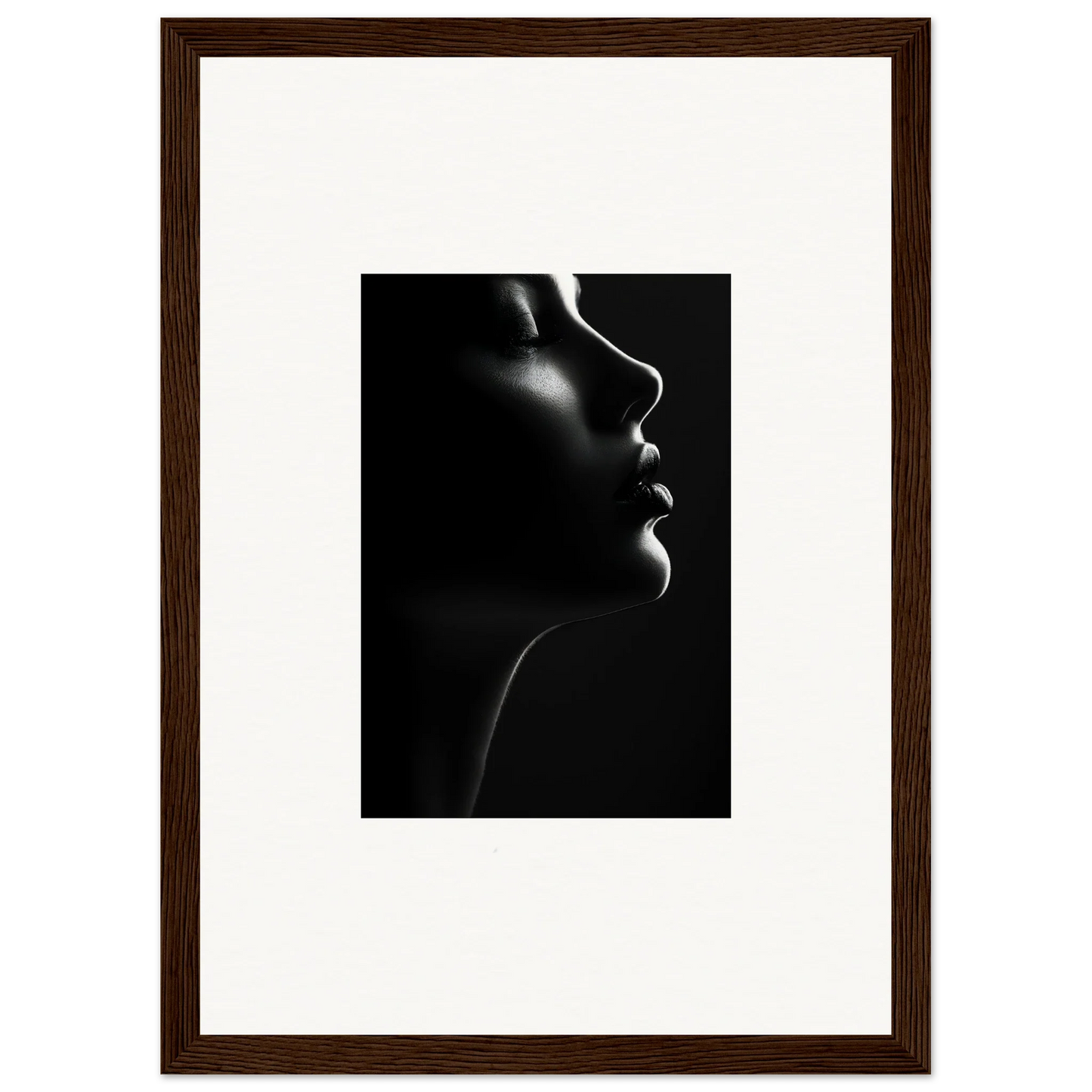 Dramatic black and white silhouette’s siren with sleek rim lighting for premium framed wall