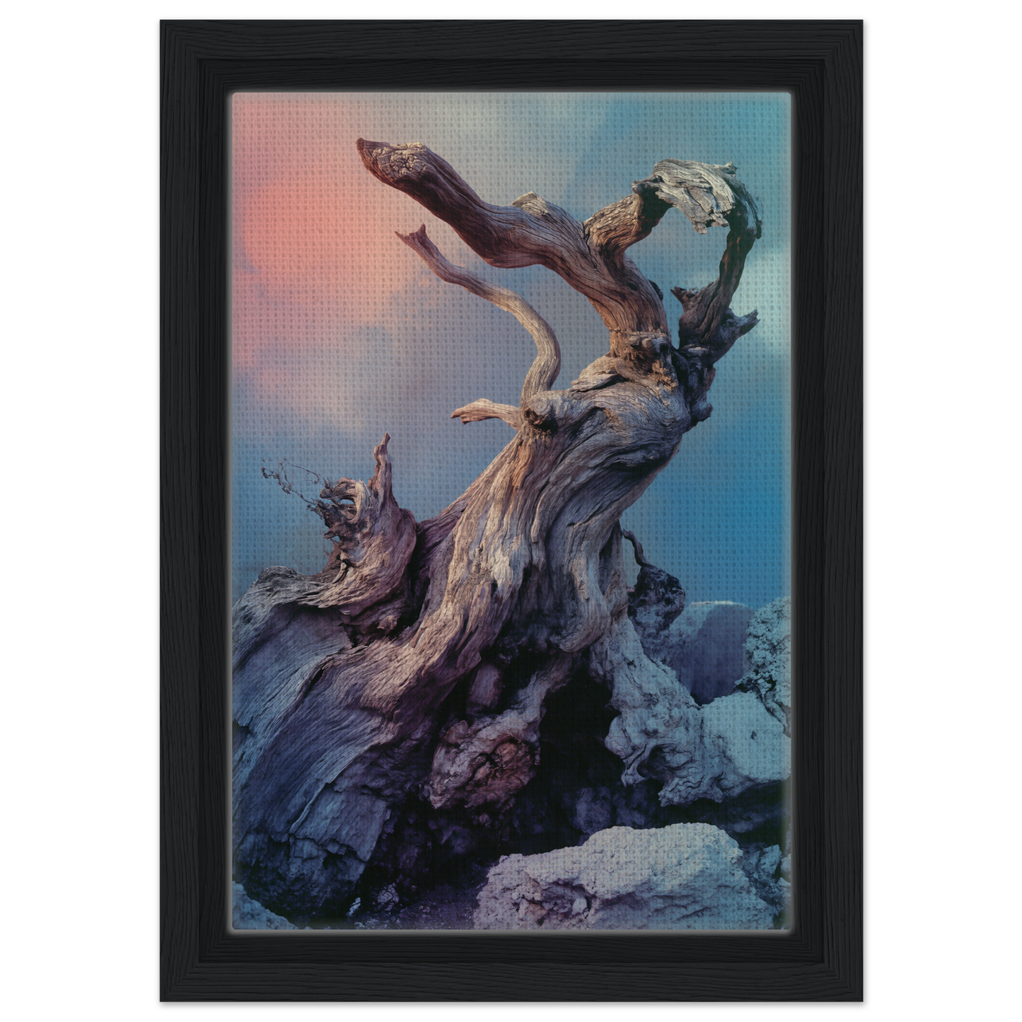 Gnarled driftwood artwork from Ancient Dreams Unfurled enhances room decor with dramatic flair