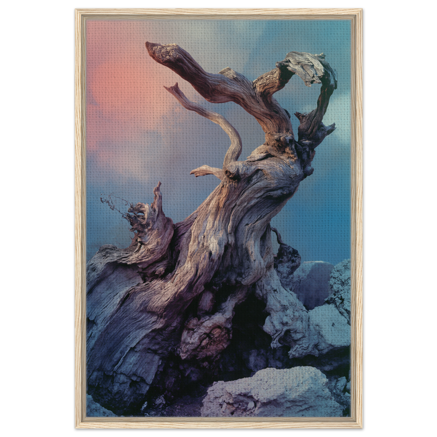 Gnarled tree trunk with bare branches in Ancient Dreams Unfurled framed canvas print