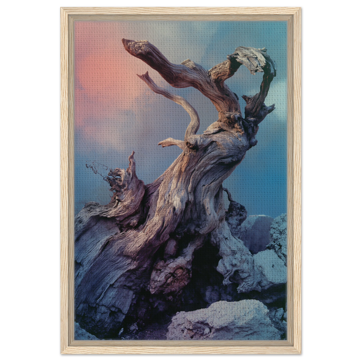 Gnarled tree trunk with bare branches against a colorful sky from Ancient Dreams Unfurled