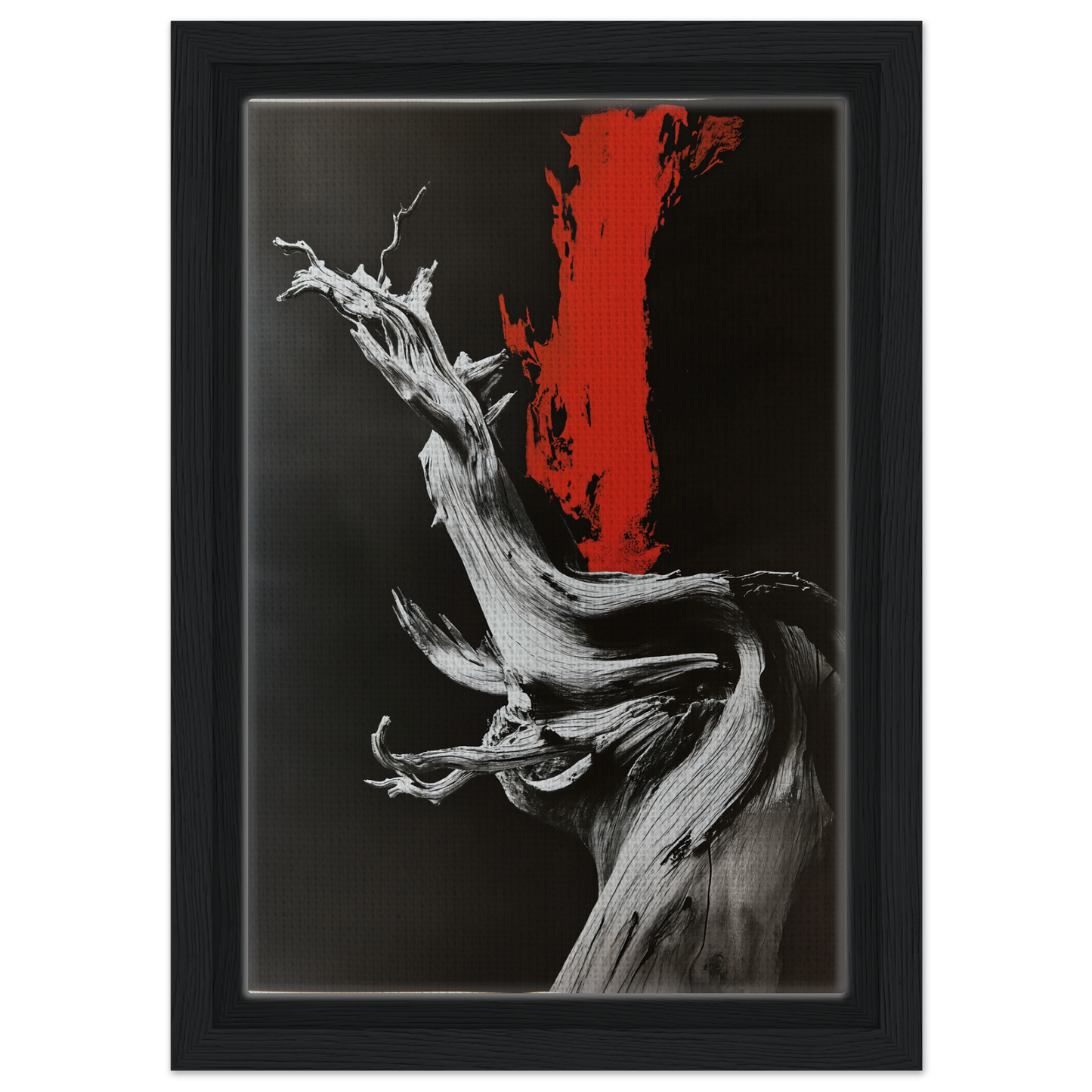 Twisted gnarled tree trunk with red streak, ideal for Burned Redwood Dreaming room decor