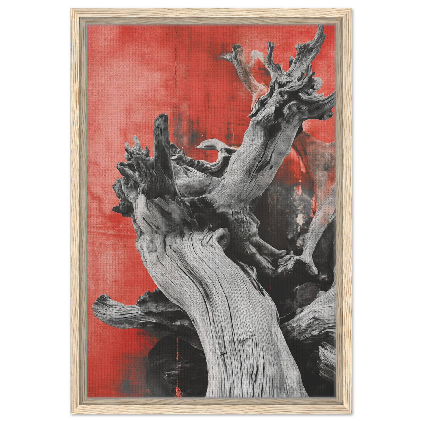 Gnarled driftwood against a red background, ideal for Demonic Drift Dance room decor