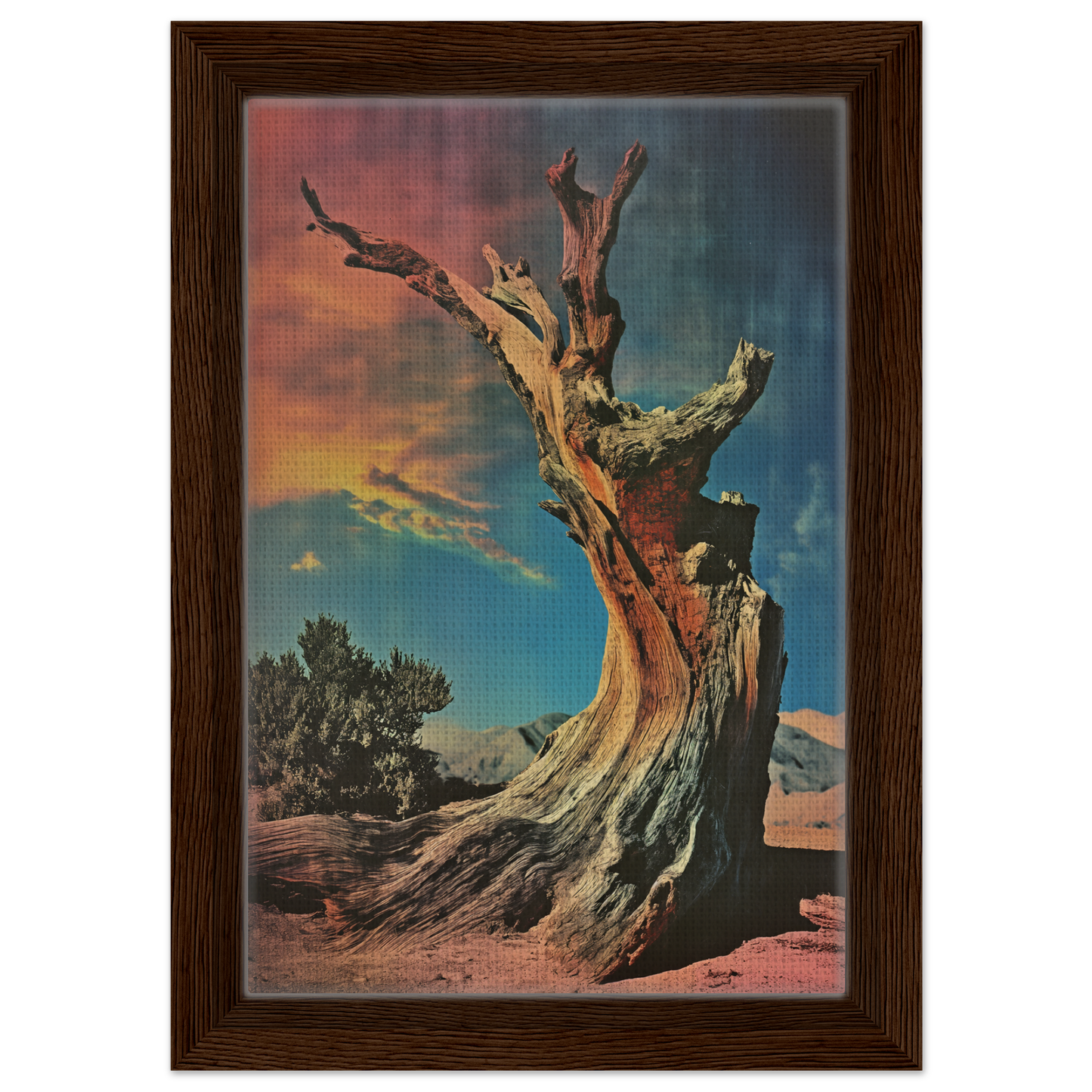 Gnarled tree trunk with twisted branches in colorful sky for Desert Time Odyssey decor