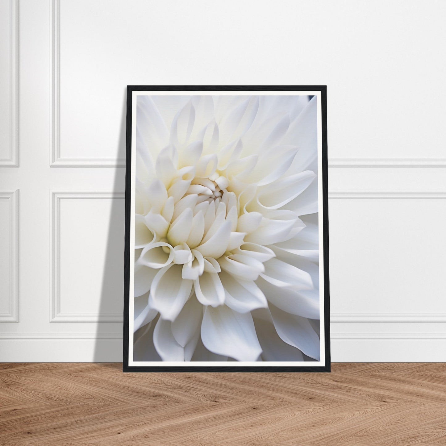 Framed photograph of a white dahlia flower in close-up.