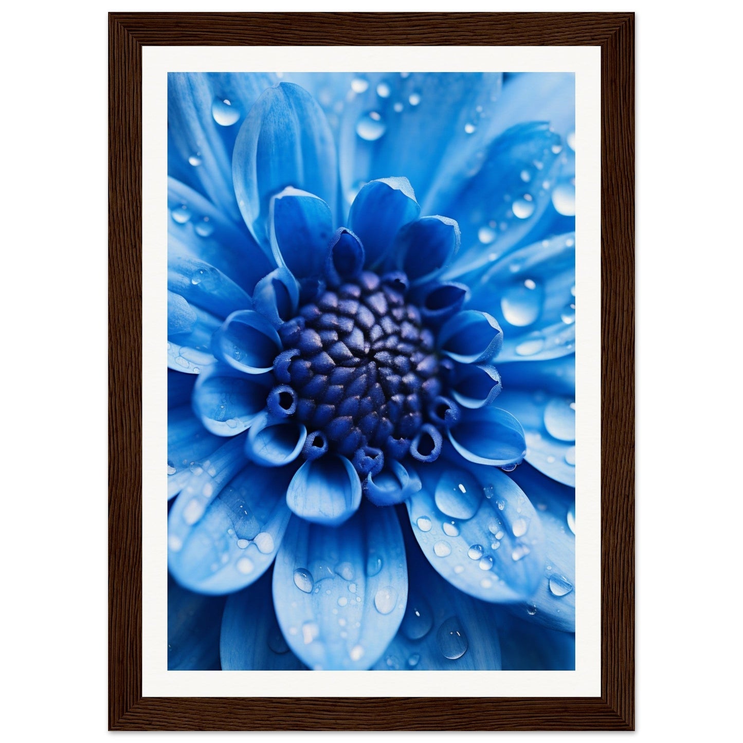 Vibrant blue flower with water droplets on its petals.