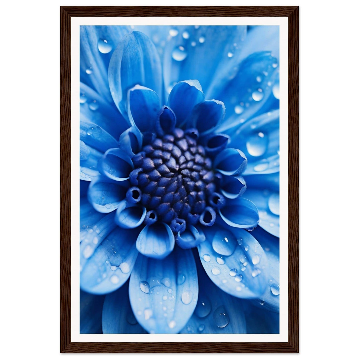 Vibrant blue flower with water droplets on its petals.