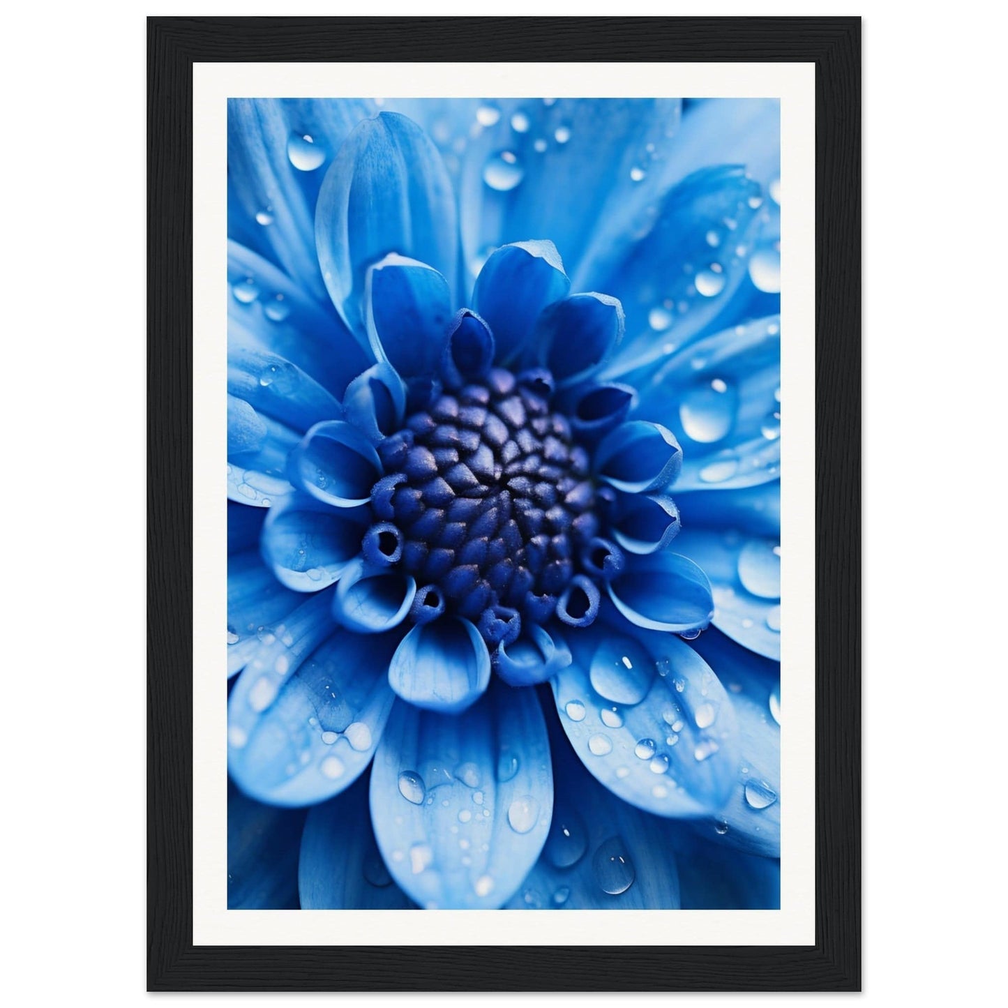Vibrant blue flower with water droplets on its petals.