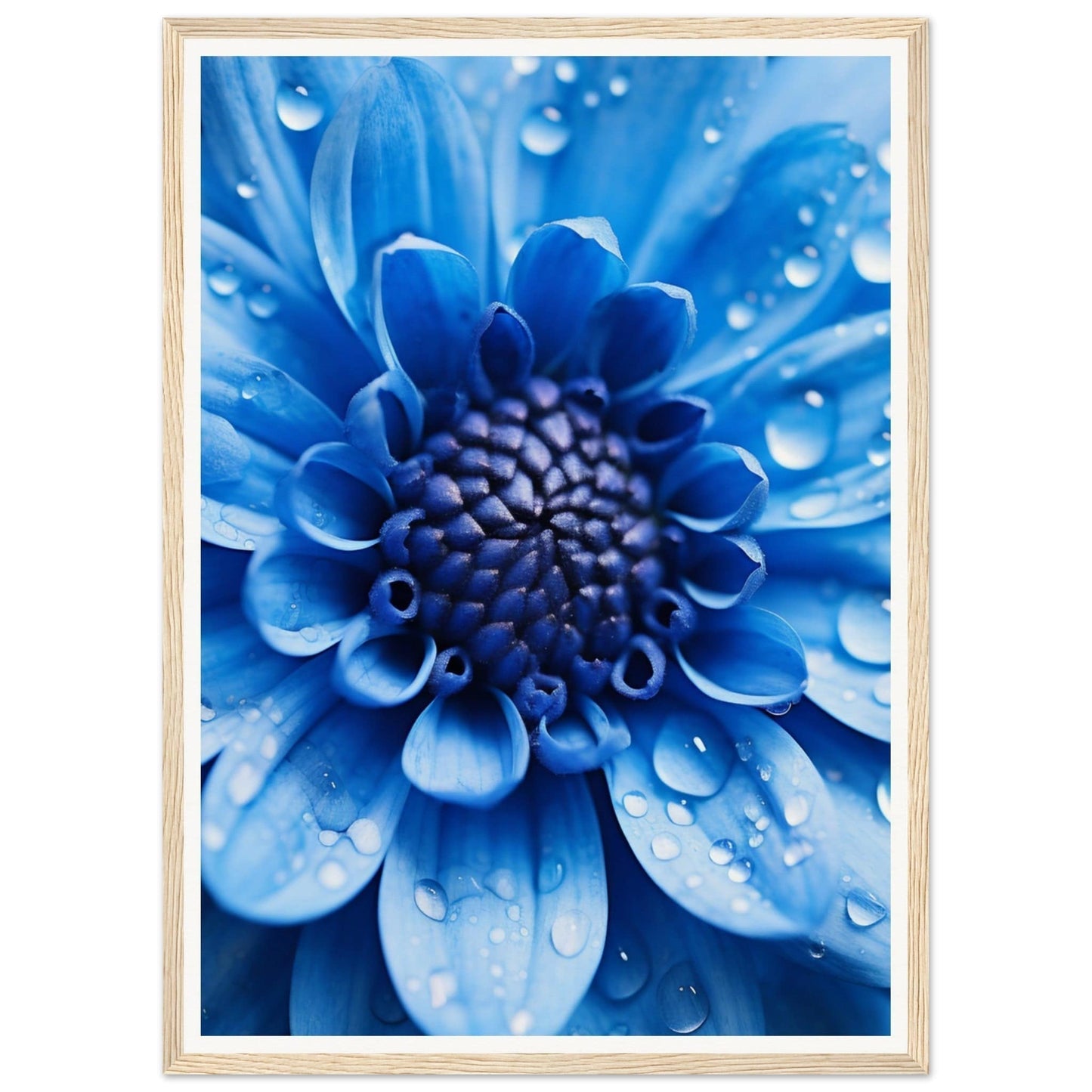 Vibrant blue flower with water droplets on its petals.