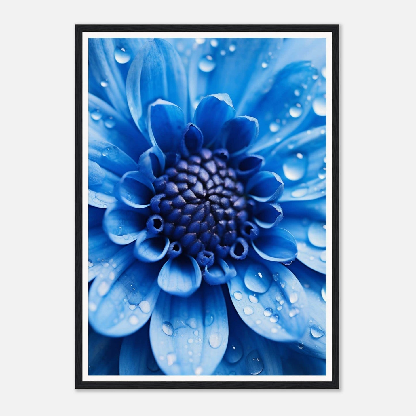 Vibrant blue flower with water droplets on its petals.