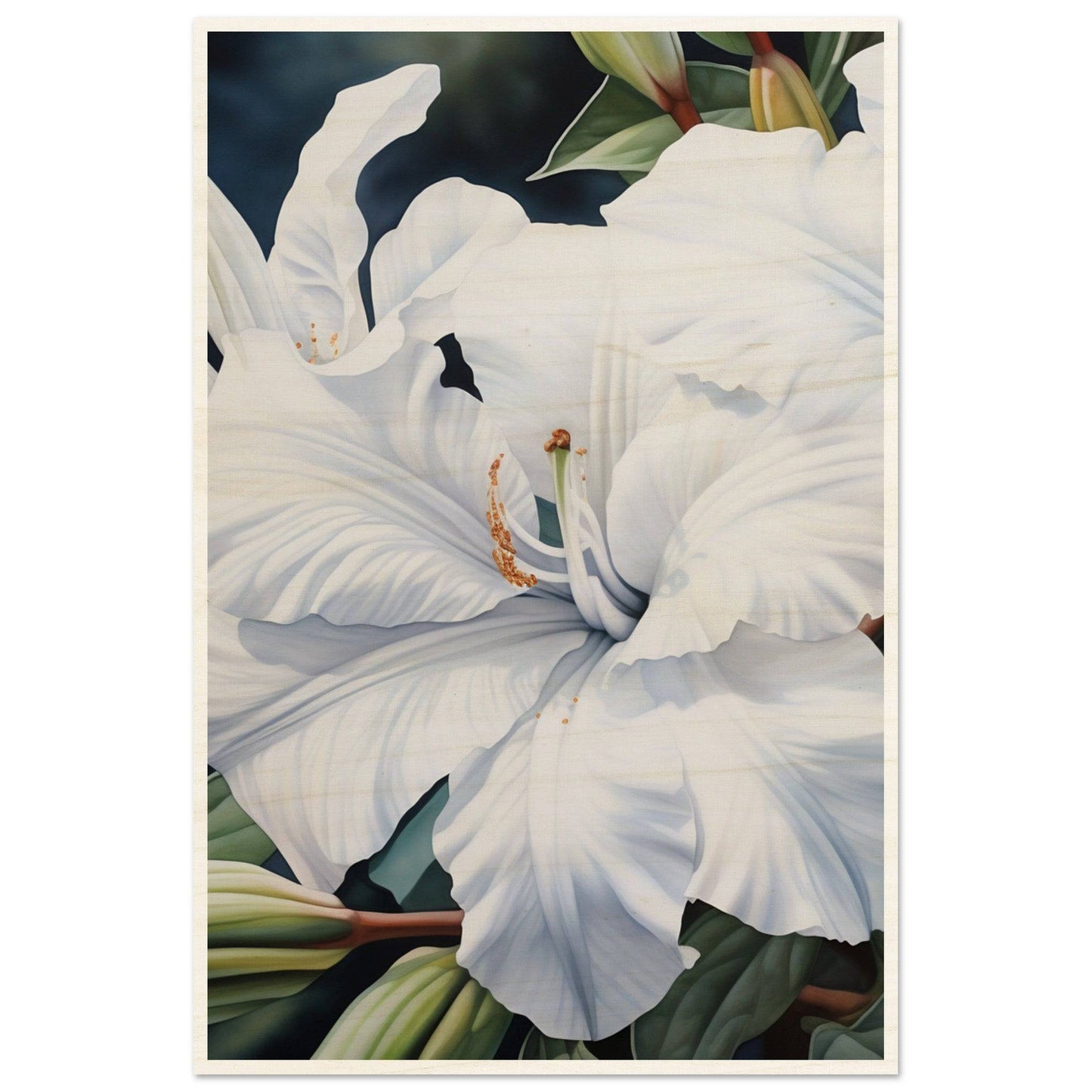White lily flower with prominent stamens and pistil in full bloom.