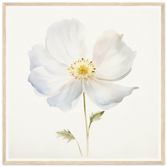Delicate white flower with yellow center and thin green stem.