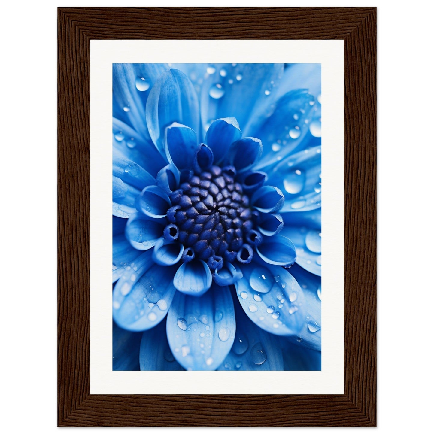 Vibrant blue flower with water droplets on its petals, framed in dark wood.