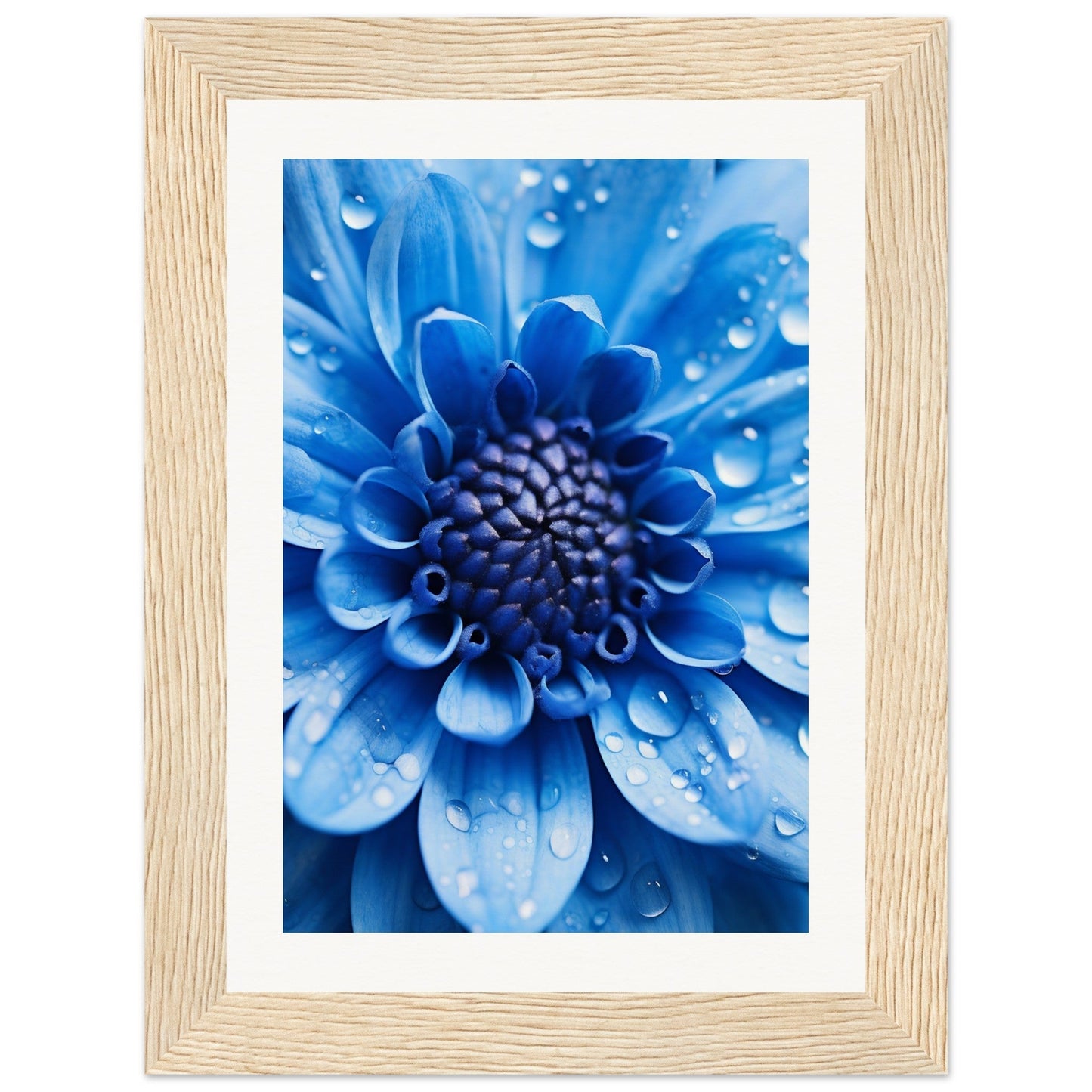 Vibrant blue flower with water droplets on its petals, framed in light wood.