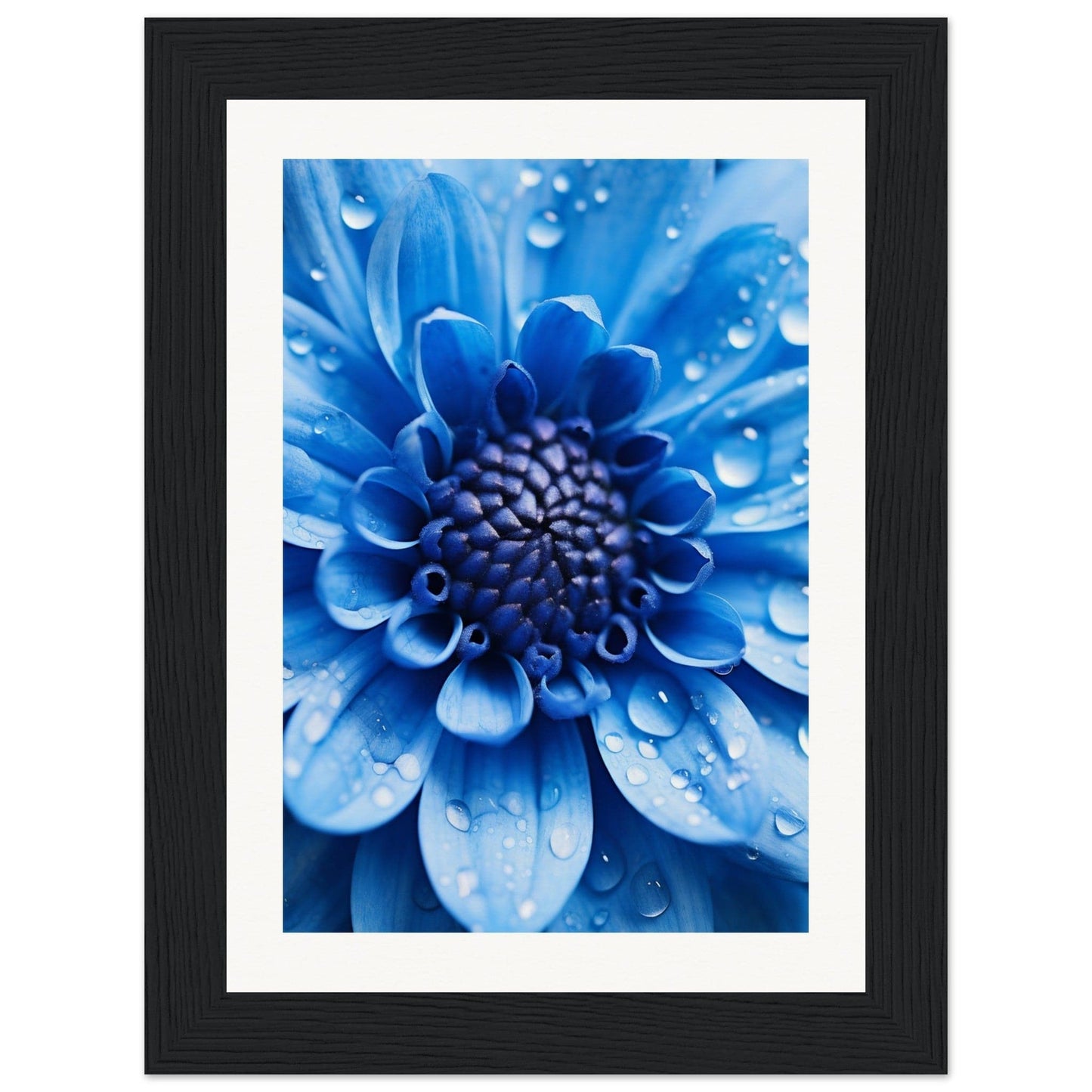 Vibrant blue flower with water droplets on its petals.