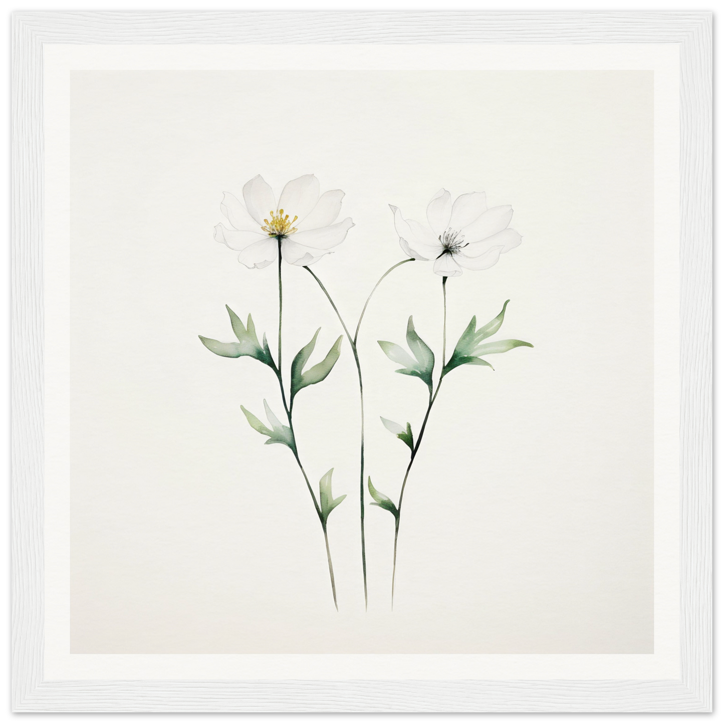 Delicate watercolor painting of two wildflowers with slender stems and leaves.