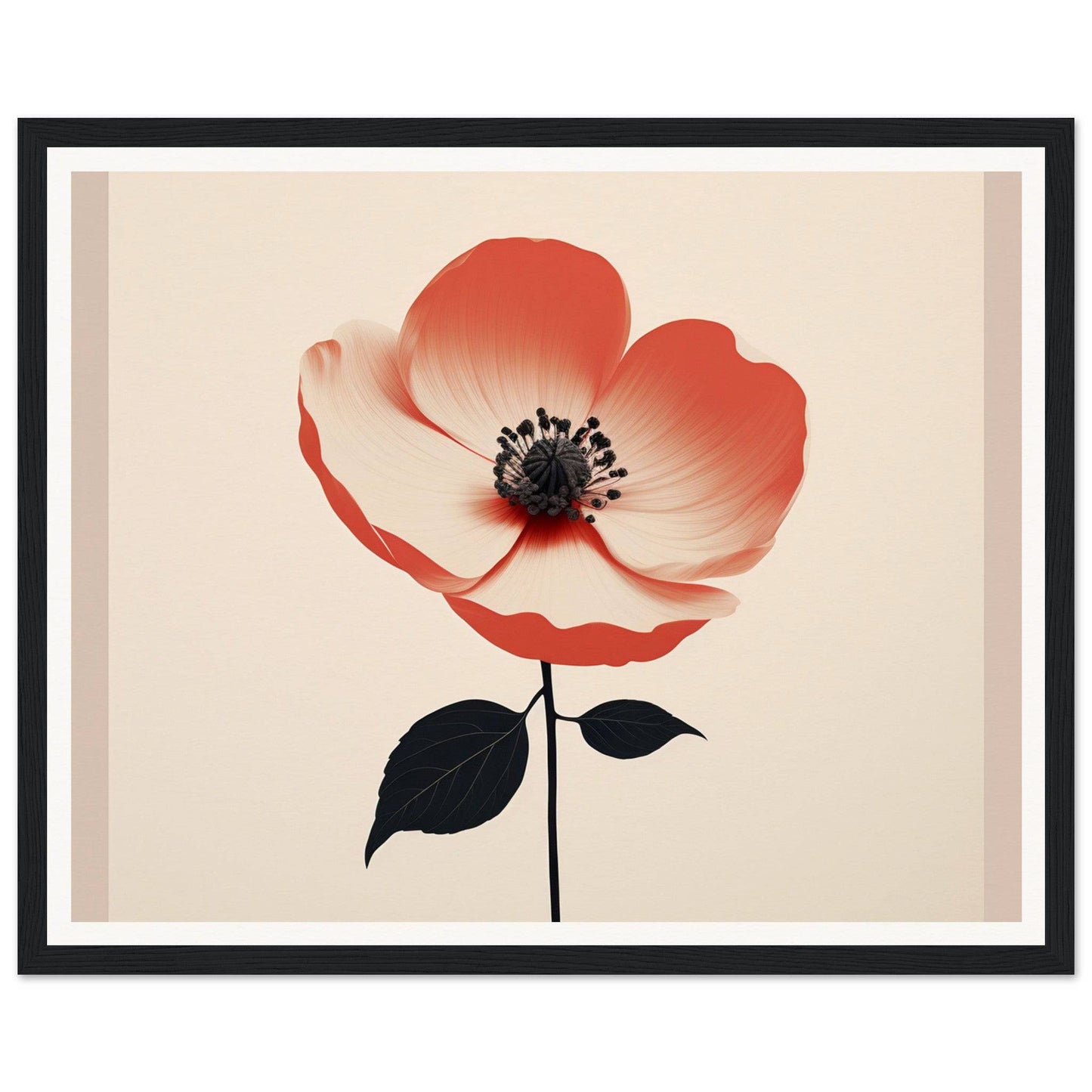 Red and white poppy flower with black stem and leaves.