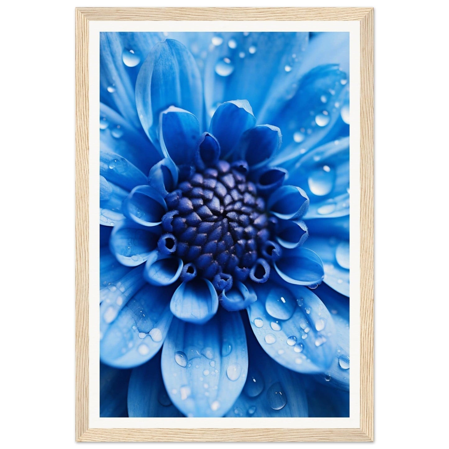 Vibrant blue flower with water droplets on its petals.