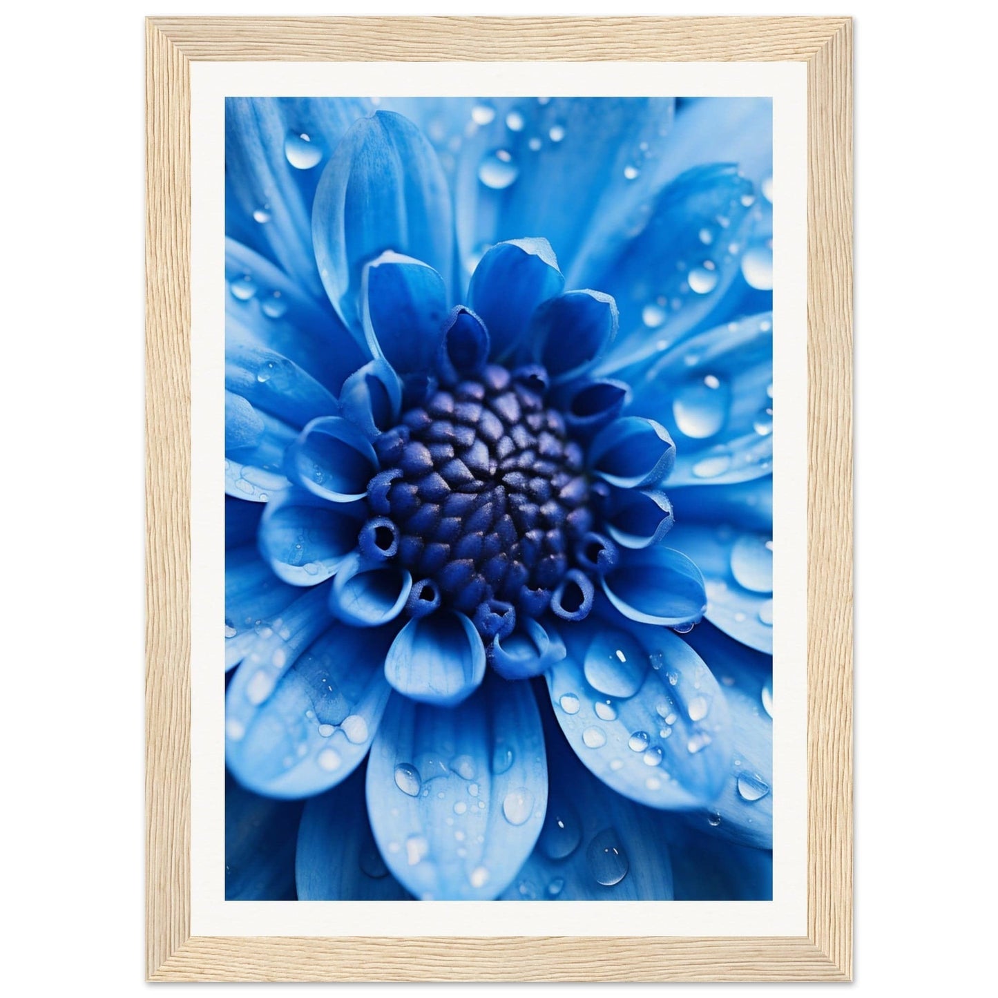 Vibrant blue flower with water droplets on its petals.