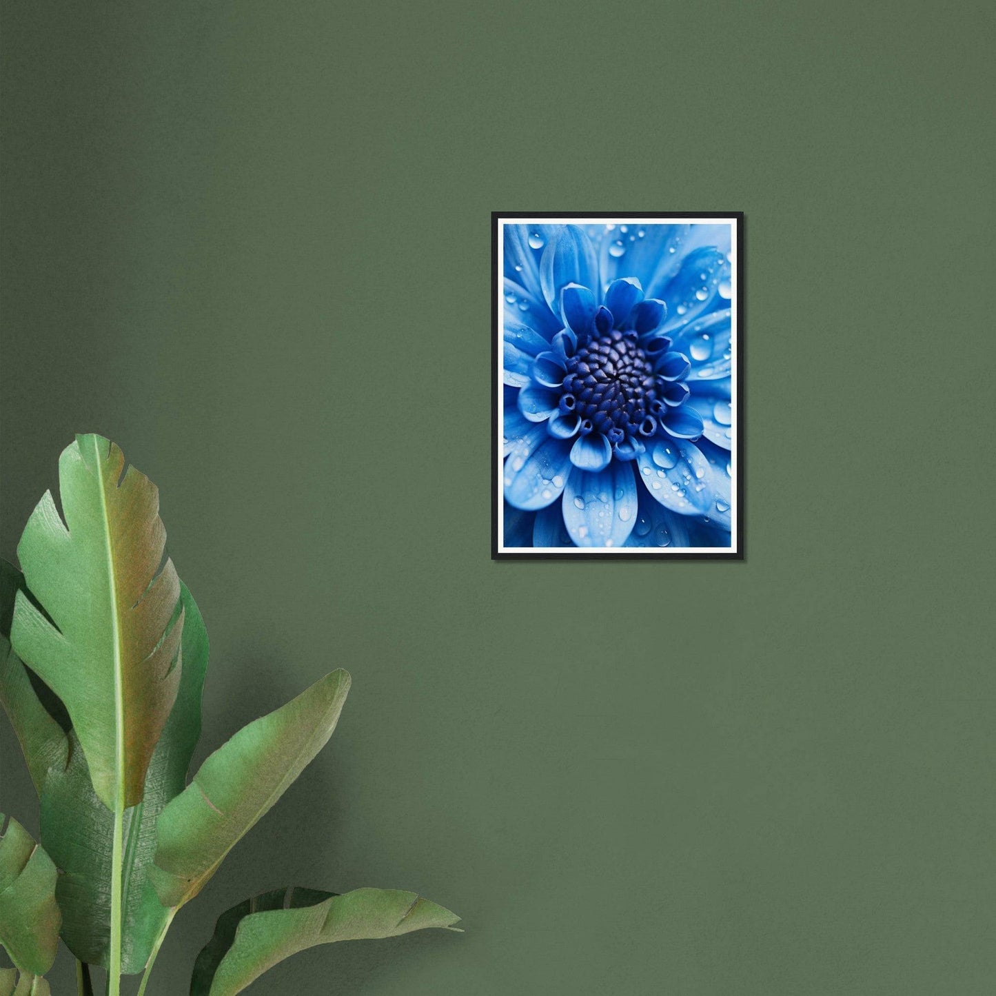 Framed photograph of a vibrant blue flower with water droplets on its petals.