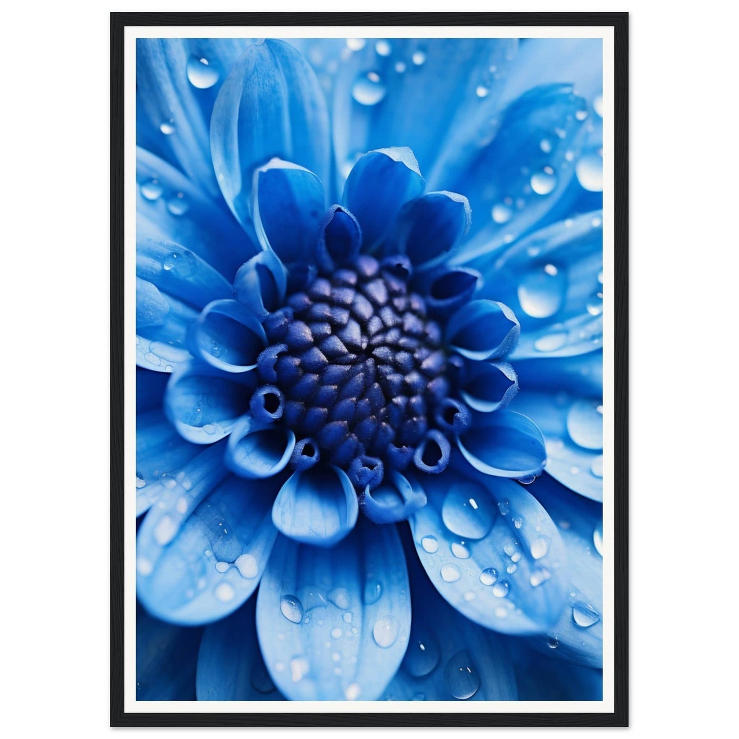 Vibrant blue flower with water droplets on its petals.