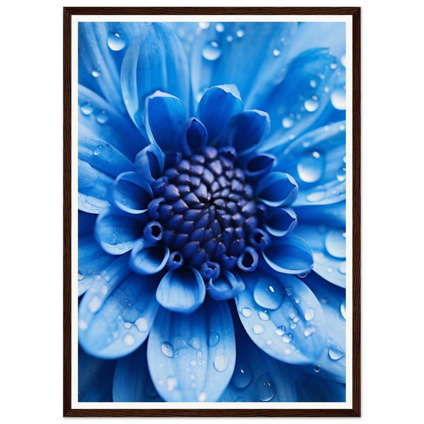 Vibrant blue flower with water droplets on its petals.