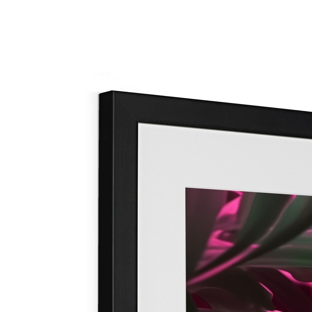 A framed picture of a pink flower