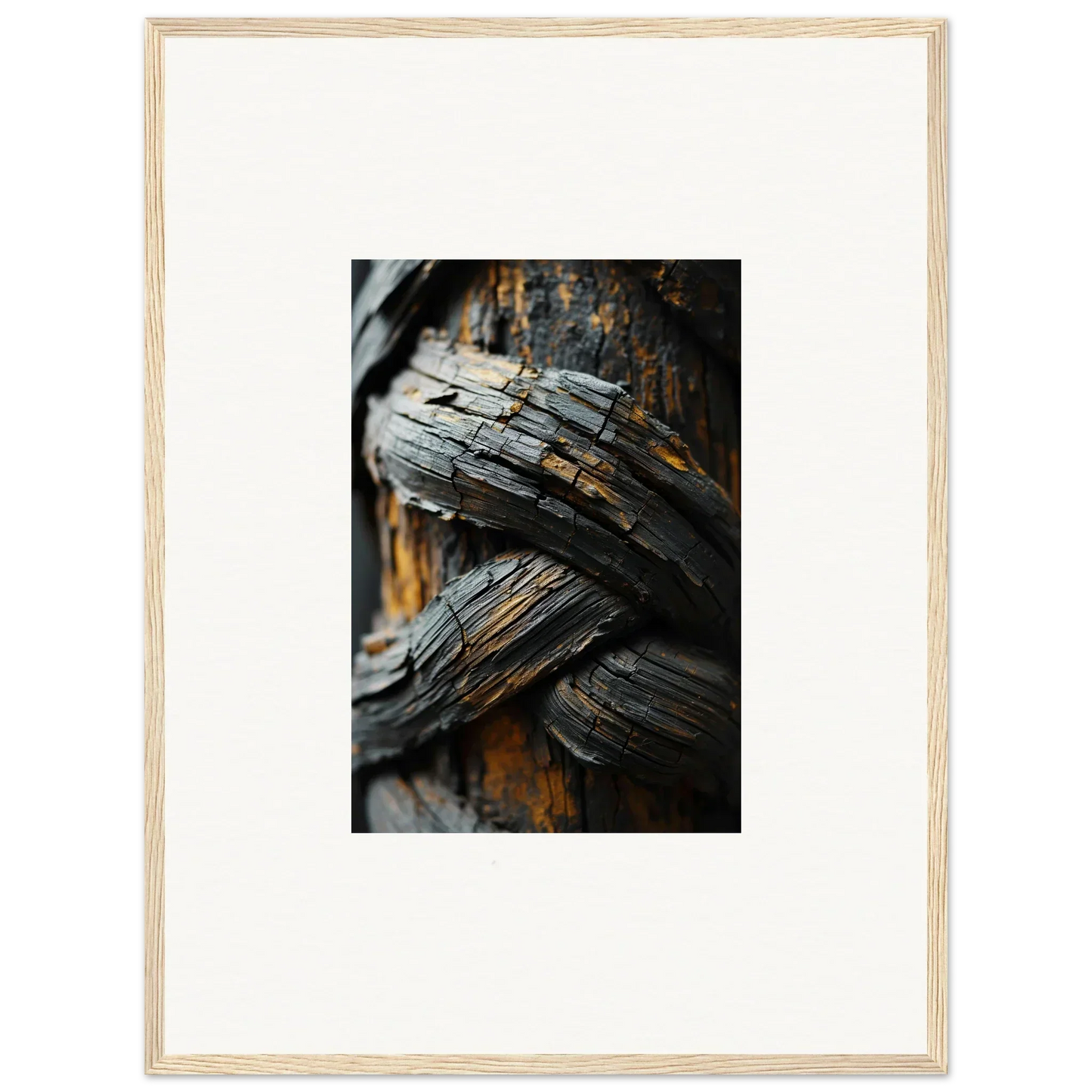 Weathered wood textures in Charred Garden Balet canvas print for trendy room decoration