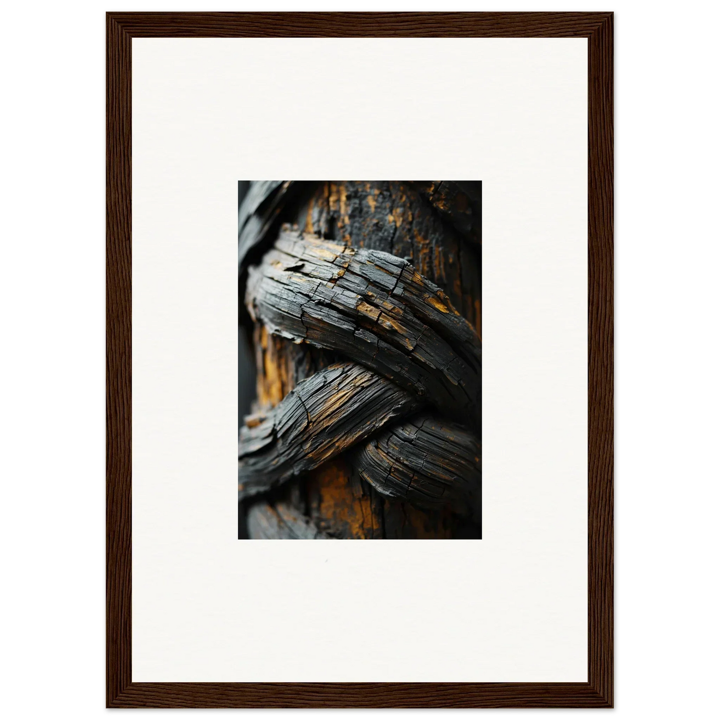 Weathered wood grain with rich textures for a unique Garden Balet canvas print