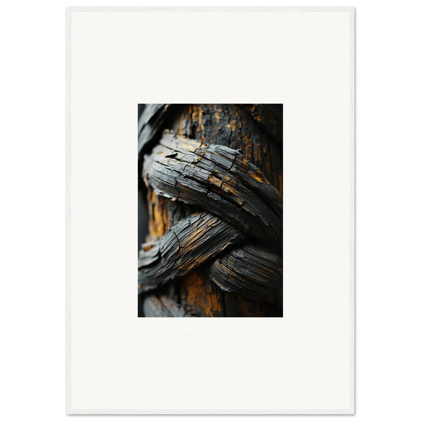 Weathered wood with unique textures for a rustic garden balet canvas print