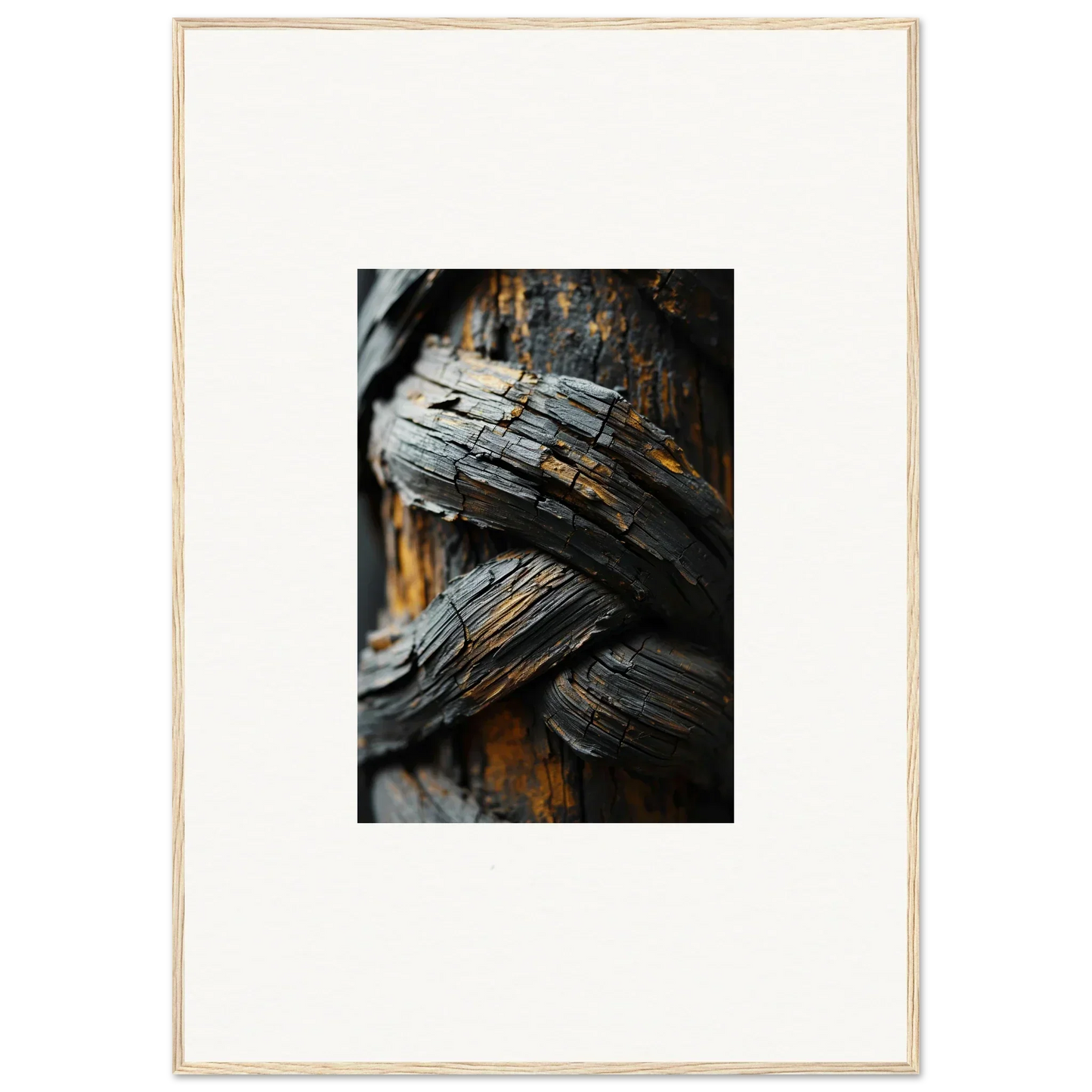 Weathered wood with twisted grain, perfect for a unique Garden Balet canvas print