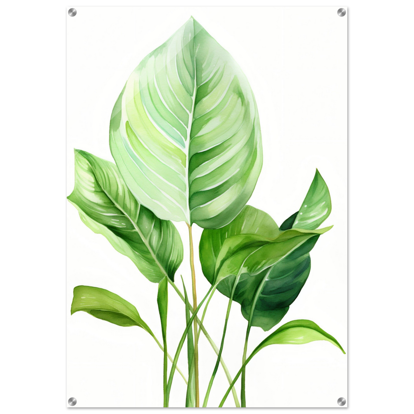 A green leaf print on a white background