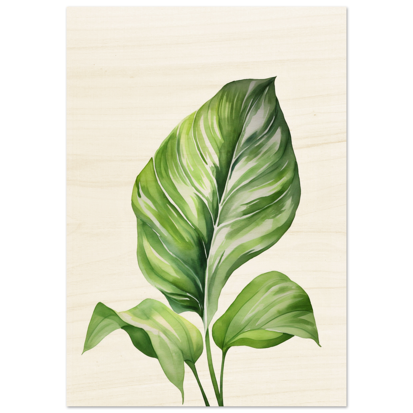 A green leaf on a white background
