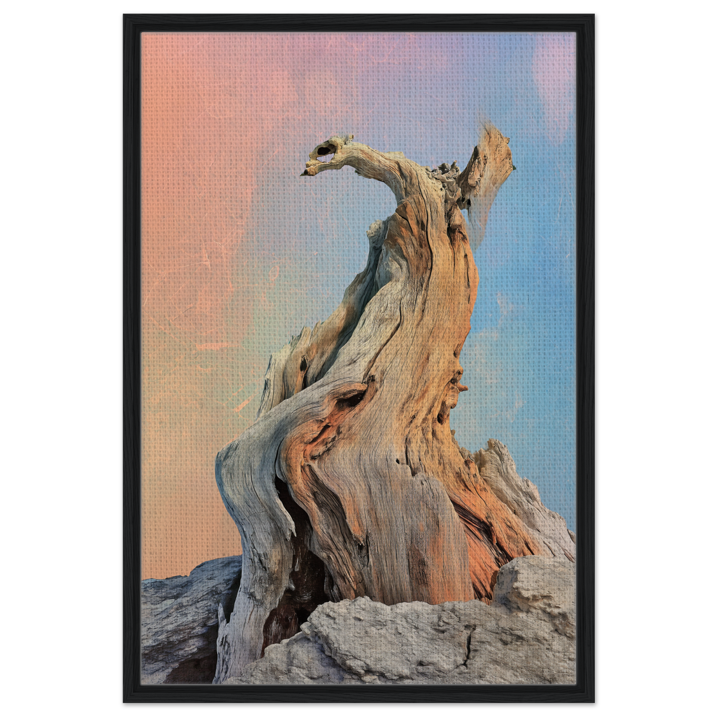 Twisted driftwood sculpture on rocks featured in Mystic Driftwood Dream framed canvas print