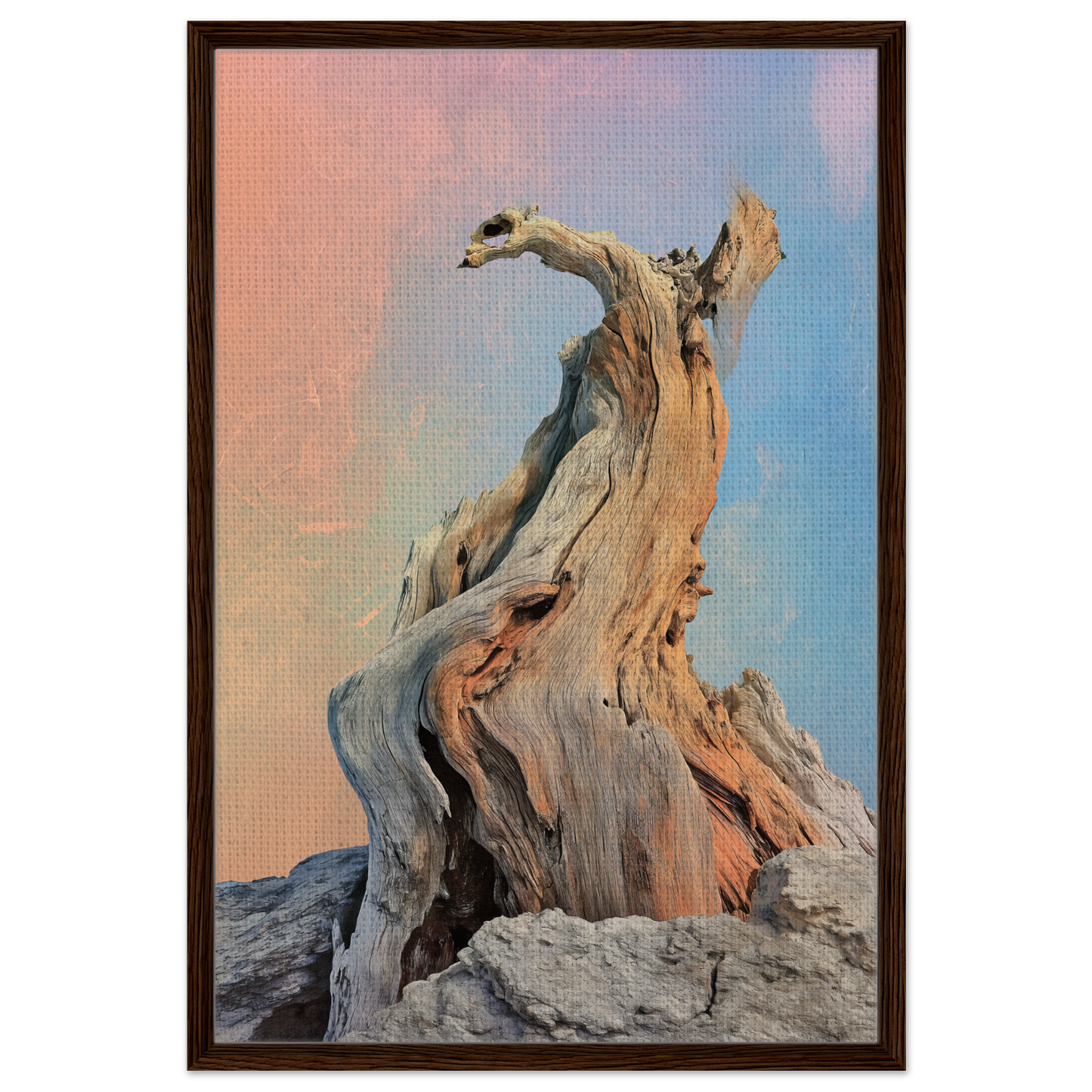 Twisted driftwood with gnarled branches, ideal for Mystic Driftwood Dream room decor
