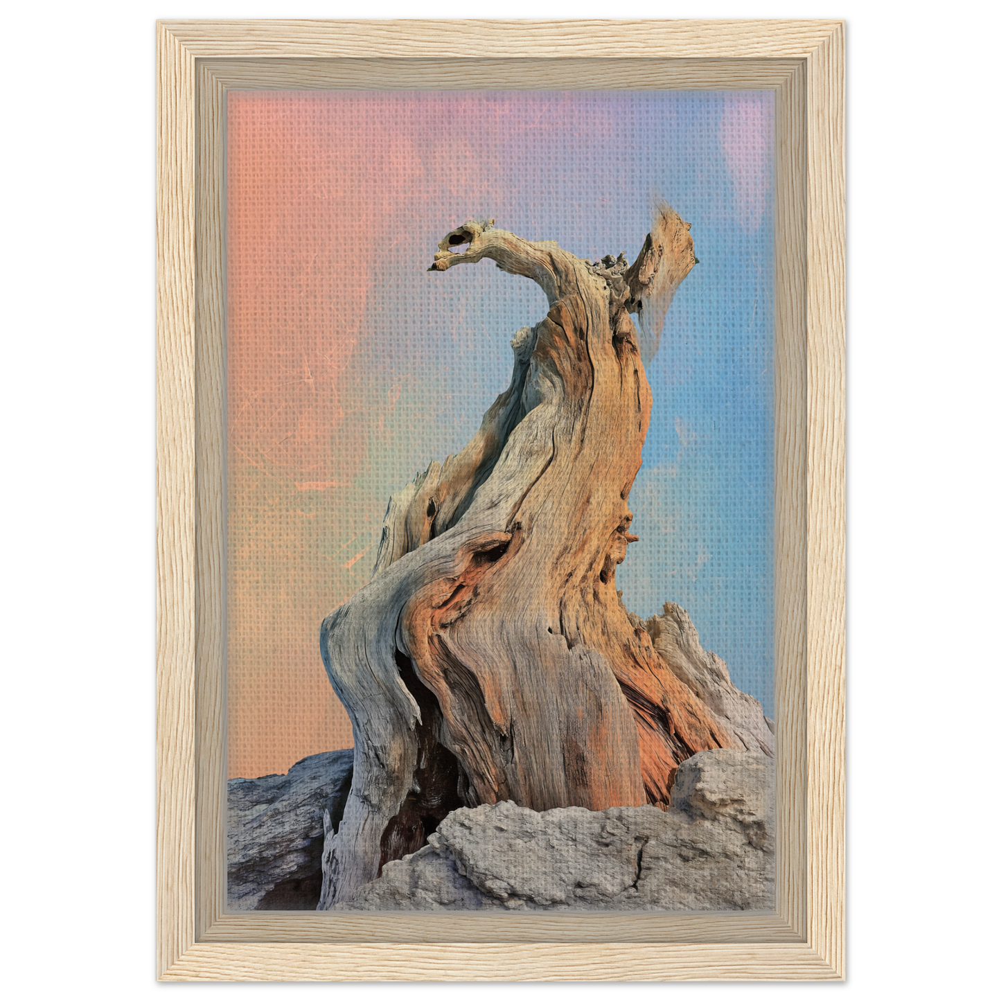Twisted driftwood with gnarled branches, perfect for Mystic Driftwood Dream room decor